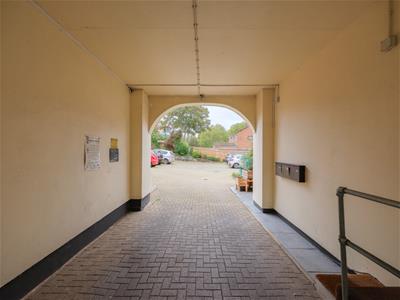 Picture 20